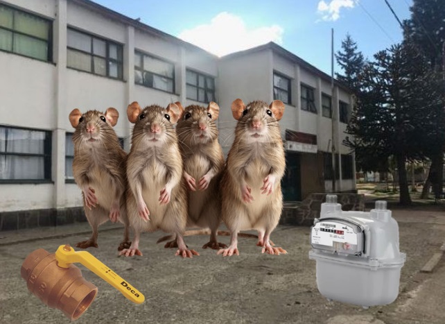 Escuela Politécnica de Esquel con RATAS y SIN GAS