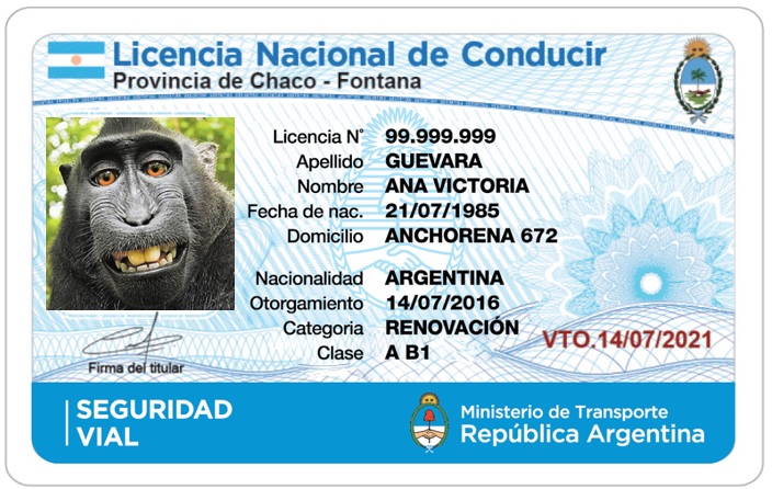 Licencias truchas: Fiscalía recalifica el caso de Trelew