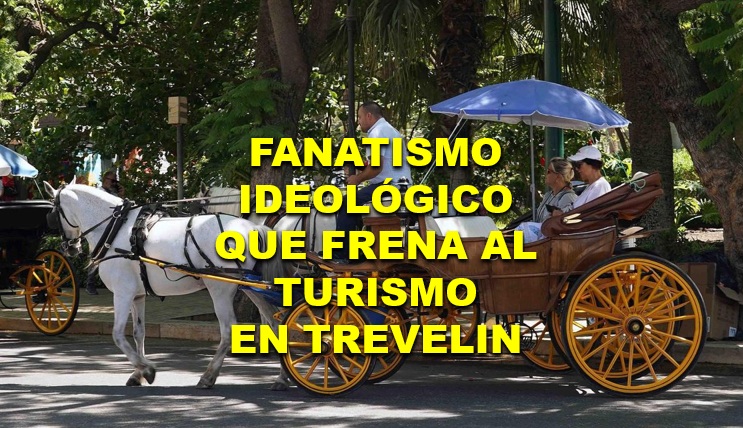 Trevelin y los carruajes: el falso debate animalista que frena emprendimiento turístico y una ONG fantasma