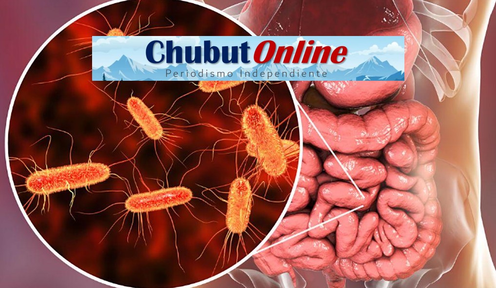 Alerta sanitaria en Chubut: confirman dos nuevos casos de Síndrome Urémico Hemolítico en menores