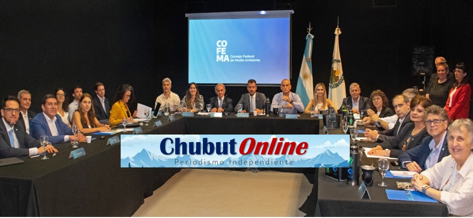 Chubut participó del Consejo Federal de Medio Ambiente