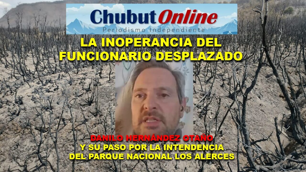 Retrato de un funcionario incompetente: antecedentes de Danilo Hernández Otaño