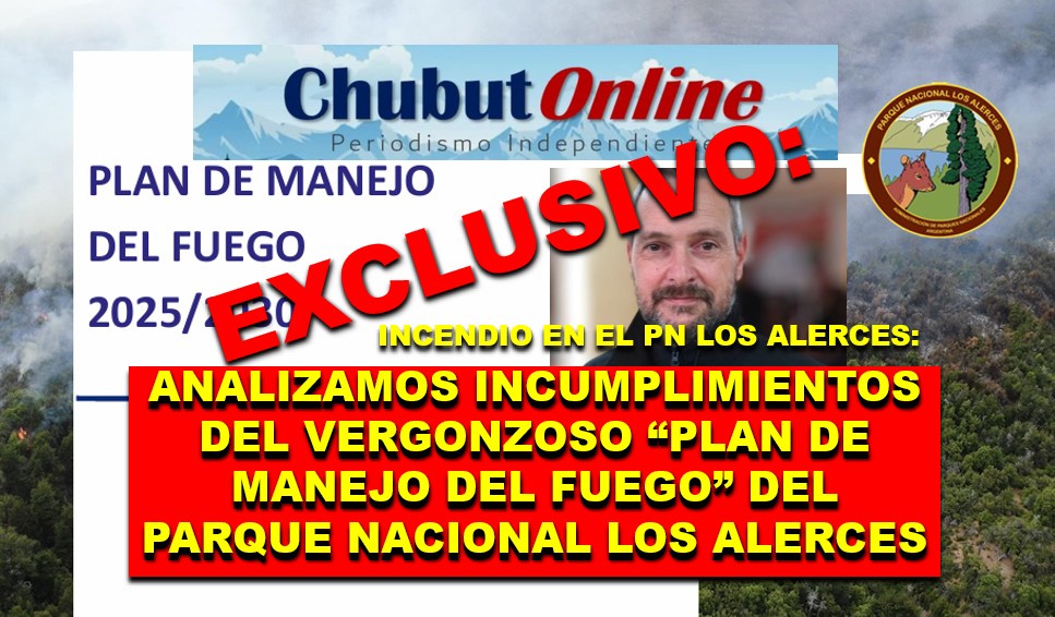 INFORME EXCLUSIVO: Detallamos la negligencia en el combate del fuego en el Parque Los Alerces.
