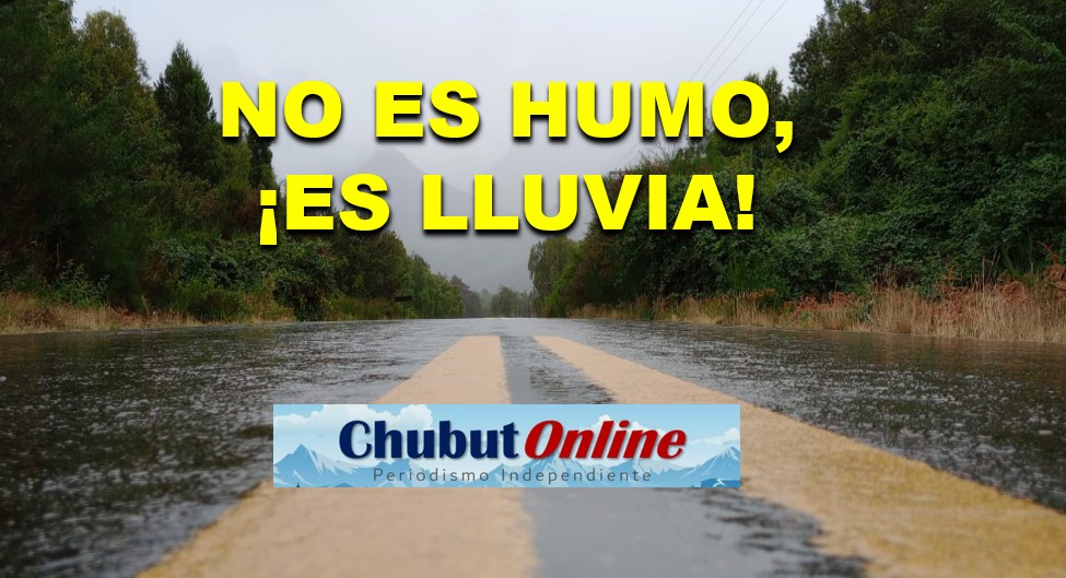 Estado de los incendios: La Agencia Federal de Emergencias brindó detalles del operativo.