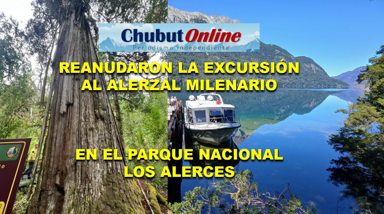 Reanudaron la excursión lacustre al Alerzal Milenario en el Parque Nacional Los Alerces