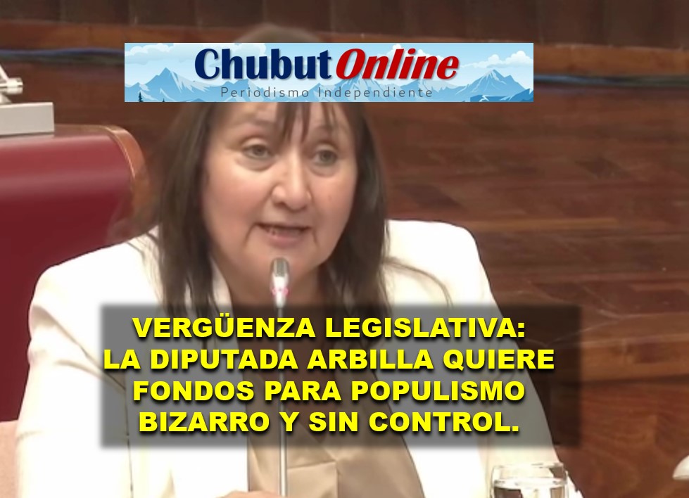Nefasto: Diputada Arbilla quiere el estado pague la tarjetas de crédito de cualquier vago.