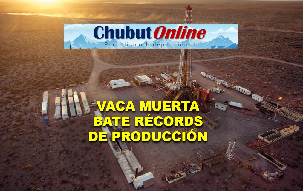 Vaca Muerta lleva al sector energético a un superávit histórico de USD 2.405 millones