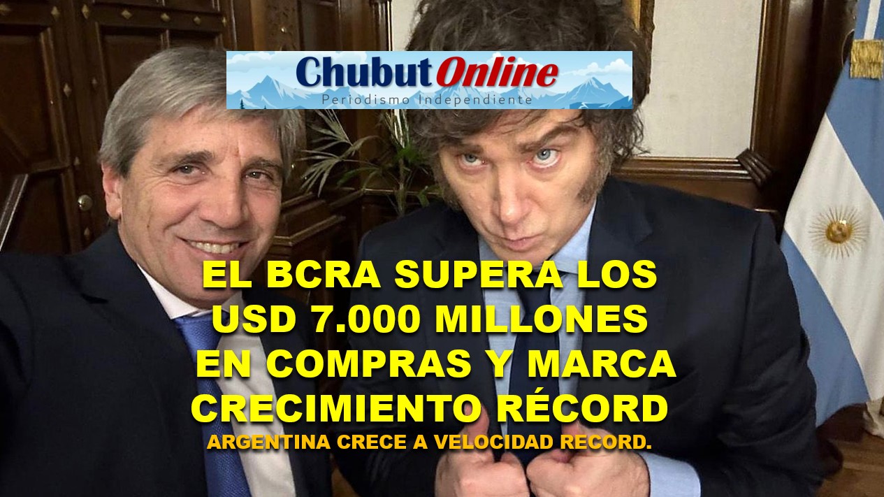 El BCRA supera los USD 7.000 millones en compras y marca crecimiento récord de la economía argentina