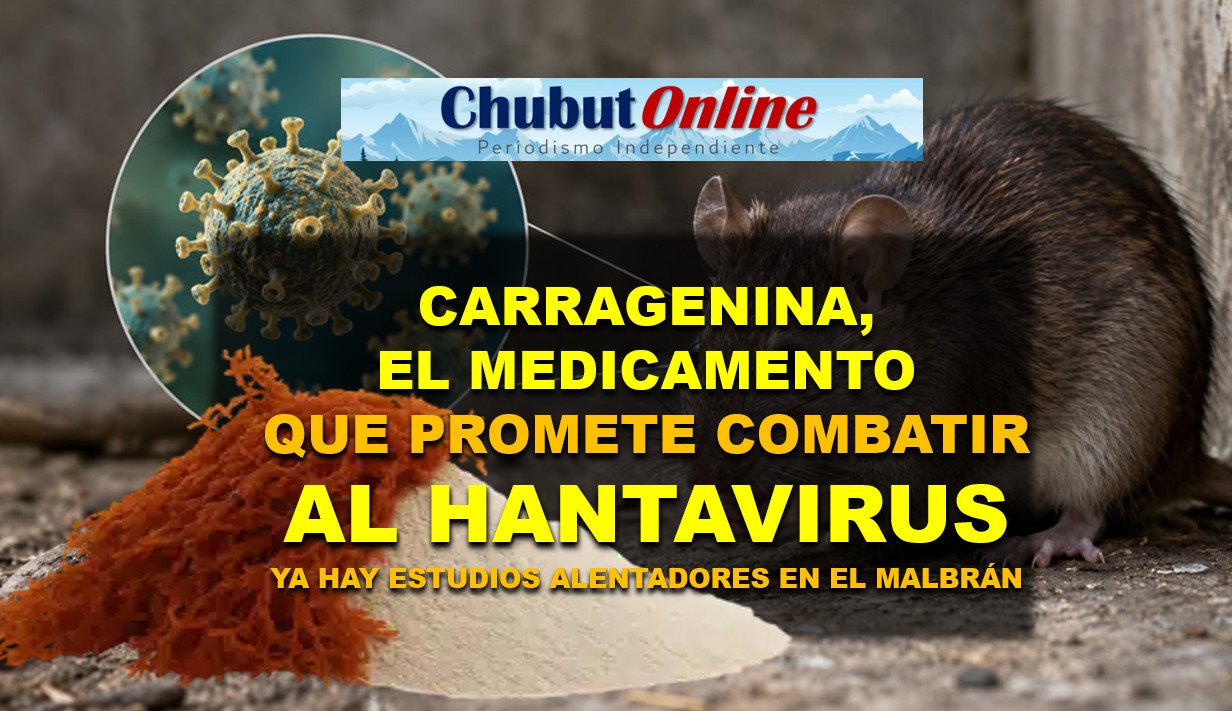 ¿Medicamento para tratar el hantavirus? La carragenina en investigación en el Malbrán.