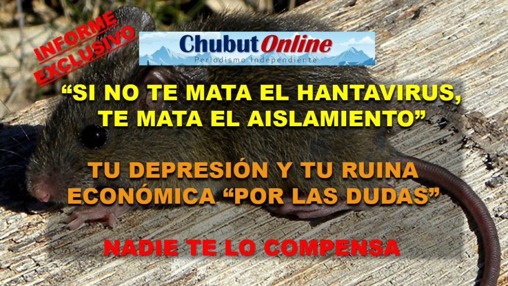 HANTA VIRUS HANTAVIRUS CEPA ANDES CHUBUT ONLINE