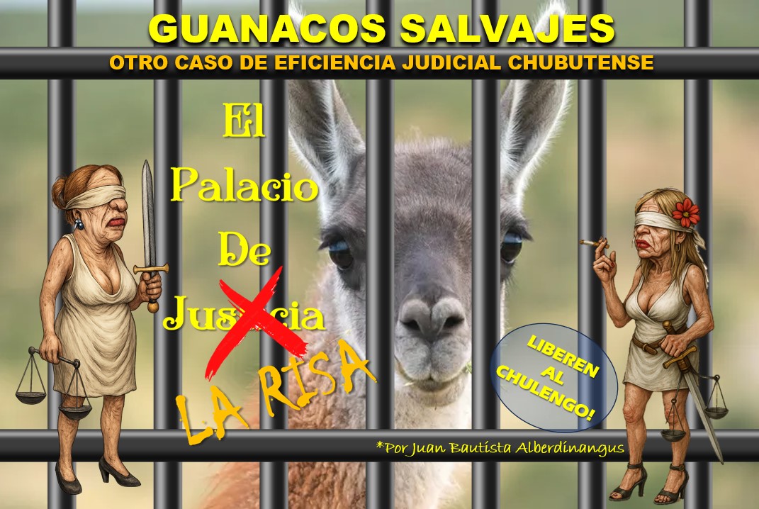 De guanacos, amenazas y otras yerbas… Hoy, en El Palacio de La Risa. No te lo pierdas!