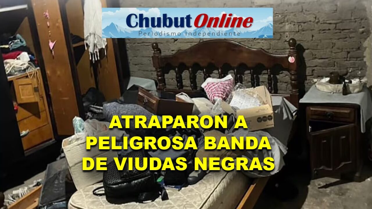 Viudas negras en Puerto Madero: cayó banda que drogaba con Clotiapina