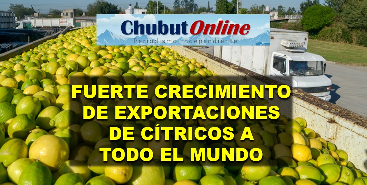Récord en exportaciones de limón argentino: crecen 36% en 2026, e incluye jugos y derivados.