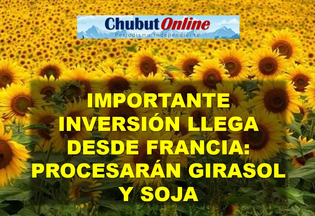 Inversión récord: USD 400 millones para planta de soja y girasol en Bahía Blanca