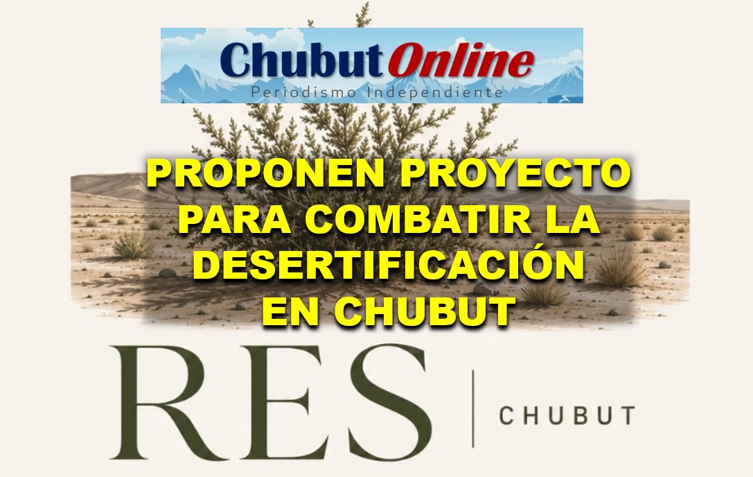 Proyecto «RESChubut»: la barrera verde de 600 km que busca frenar la desertificación en Chubut