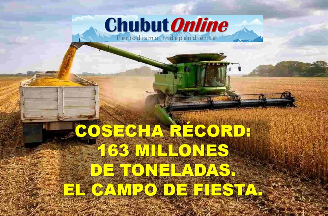 Campo argentino: cosecha récord de 163 millones de toneladas