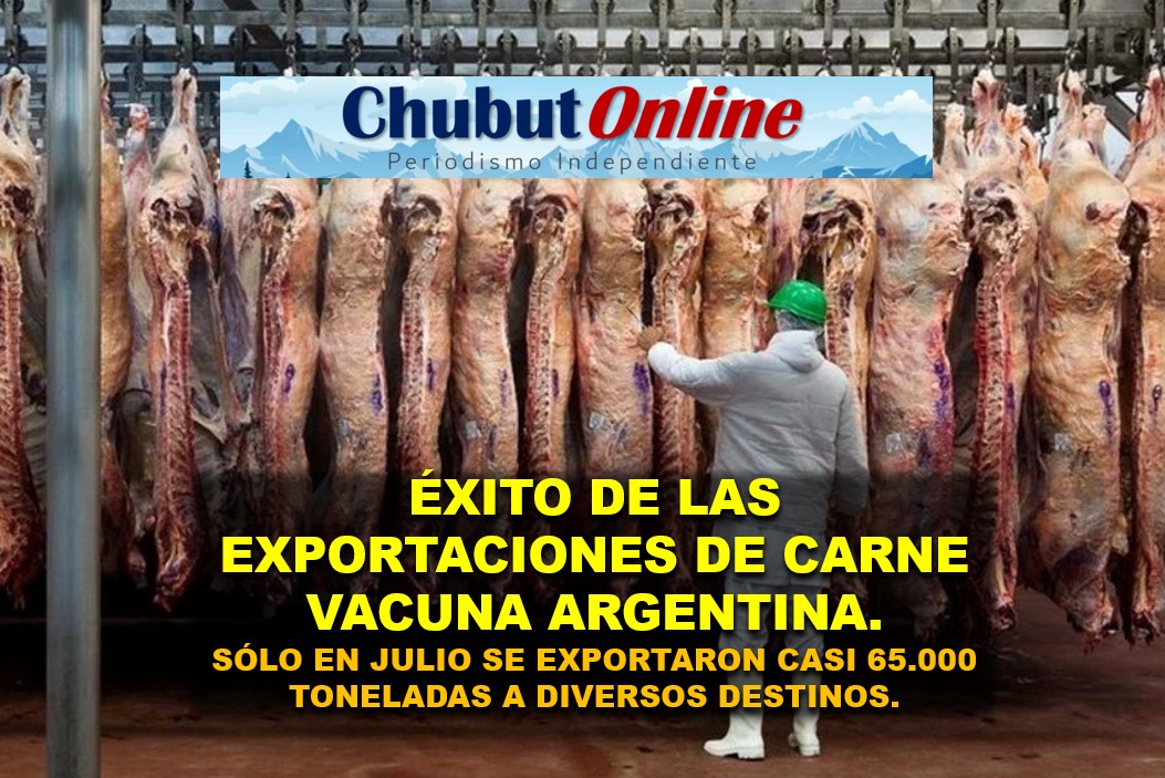 Carne argentina: exportaciones crecieron 29,9% en julio y China lidera la demanda