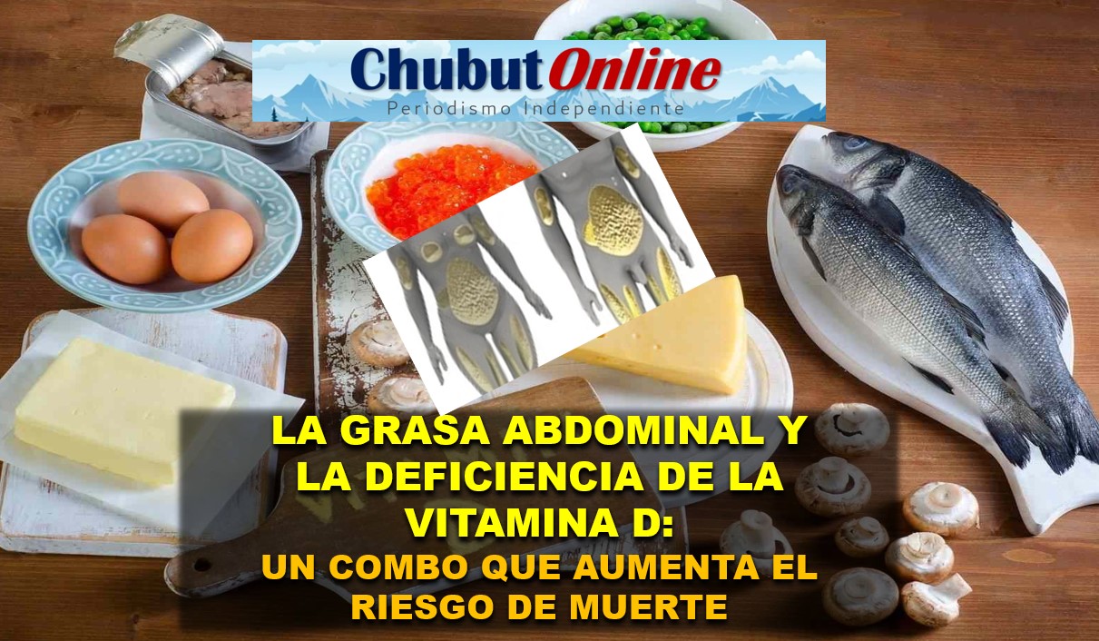 Grasa abdominal y vitamina D: el vínculo que multiplica el riesgo de muerte después de los 50