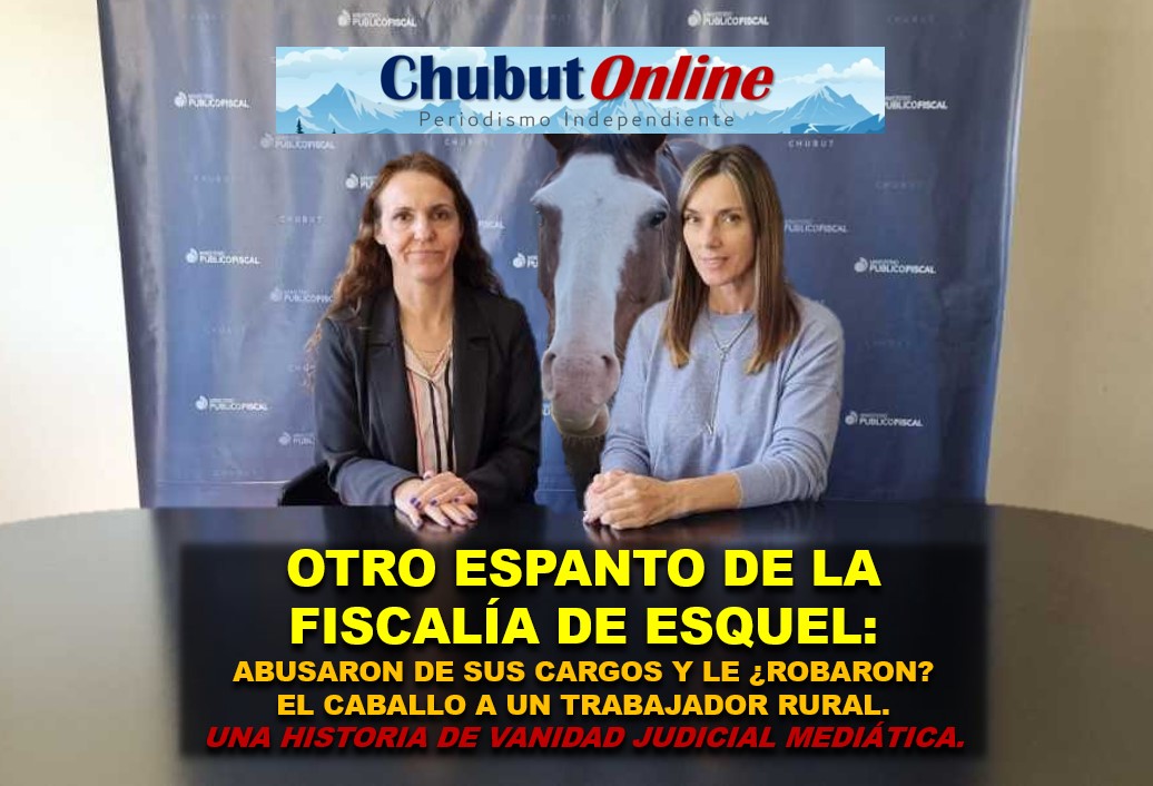 Accionar Decadente de Bottini y Bagnato: Vanidad, Abuso de Poder y el ¿Robo? del Caballo «René»