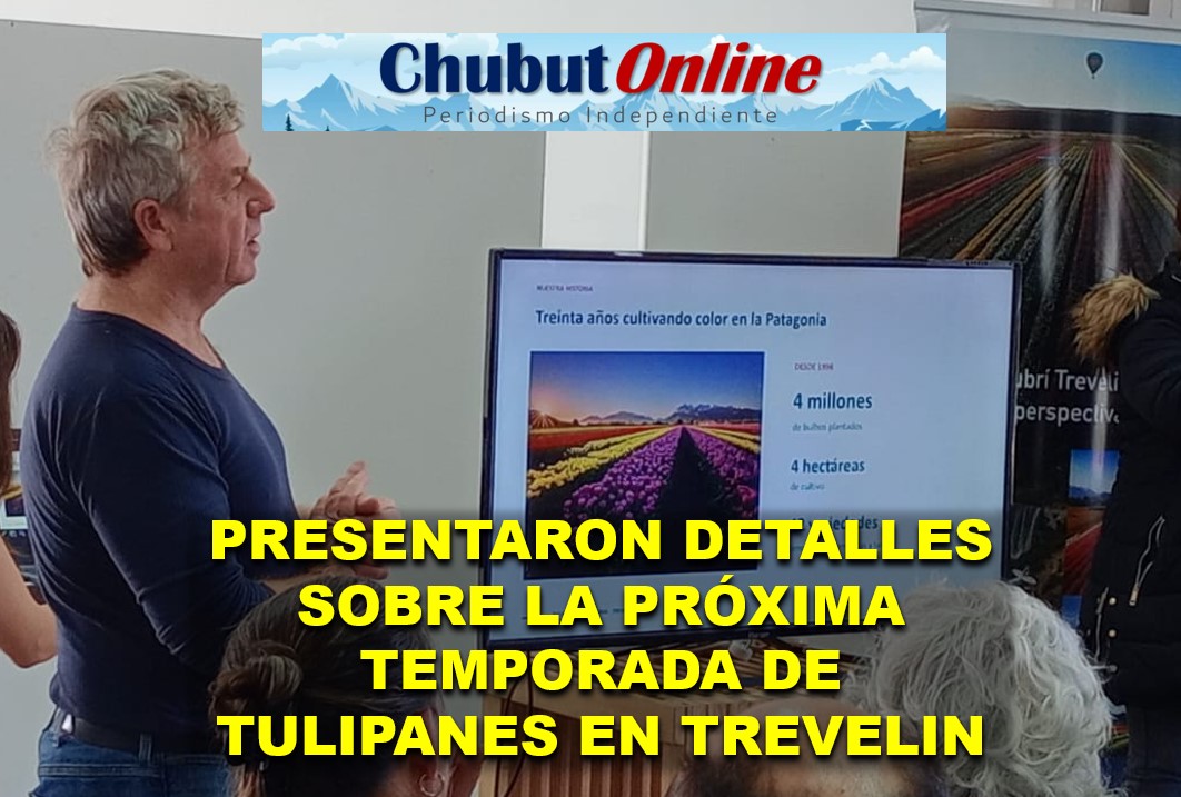 Temporada de Tulipanes en Trevelin: Juan Ledesma expone los detalles para este año